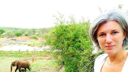 TÉMOIGNAGE. « Je me suis sentie abandonnée » : Sophie, du Mans, est bloquée en Afrique du Sud