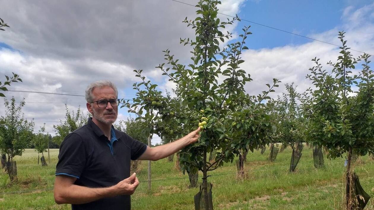À Locoal-Mendon, la Cidrerie du pays d’Auray ou l’alchimie de la pomme