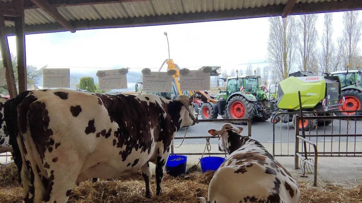Ce week-end à Saint-Pierre-en-Auge, il y a un comice agricole au programme de la Foire de printemps