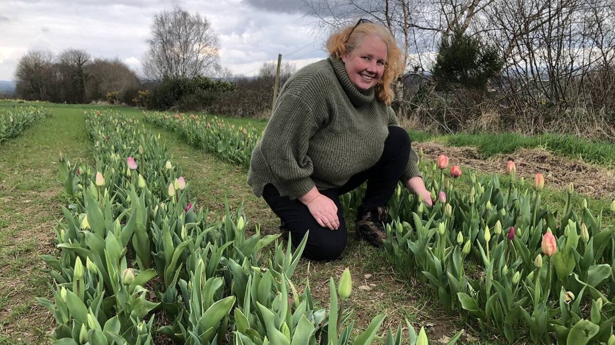 Dans ce champ breton, il est possible de cueillir des fleurs françaises en libre-service
