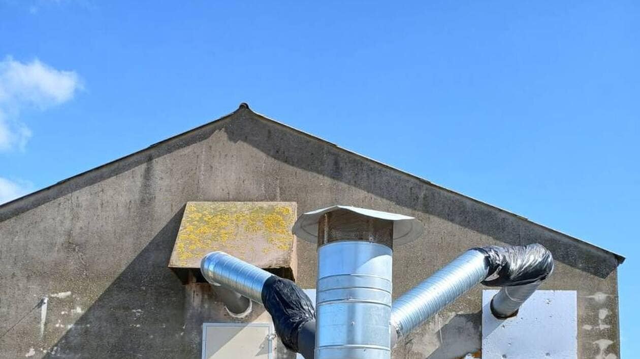 Élevage porcin : Refroidir les engraissements et réduire le stress