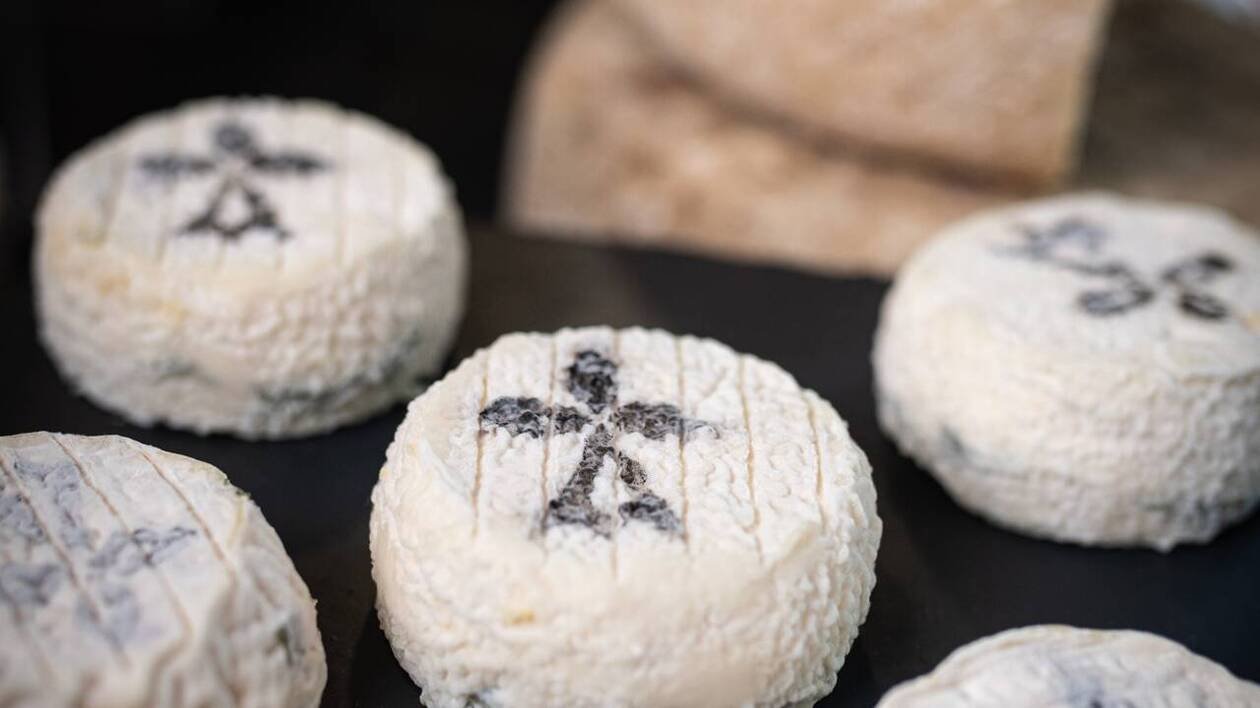 « Les fromages bretons sont plus complexes que ce que l’on veut croire » : la Bretagne, nouvelle terre de from