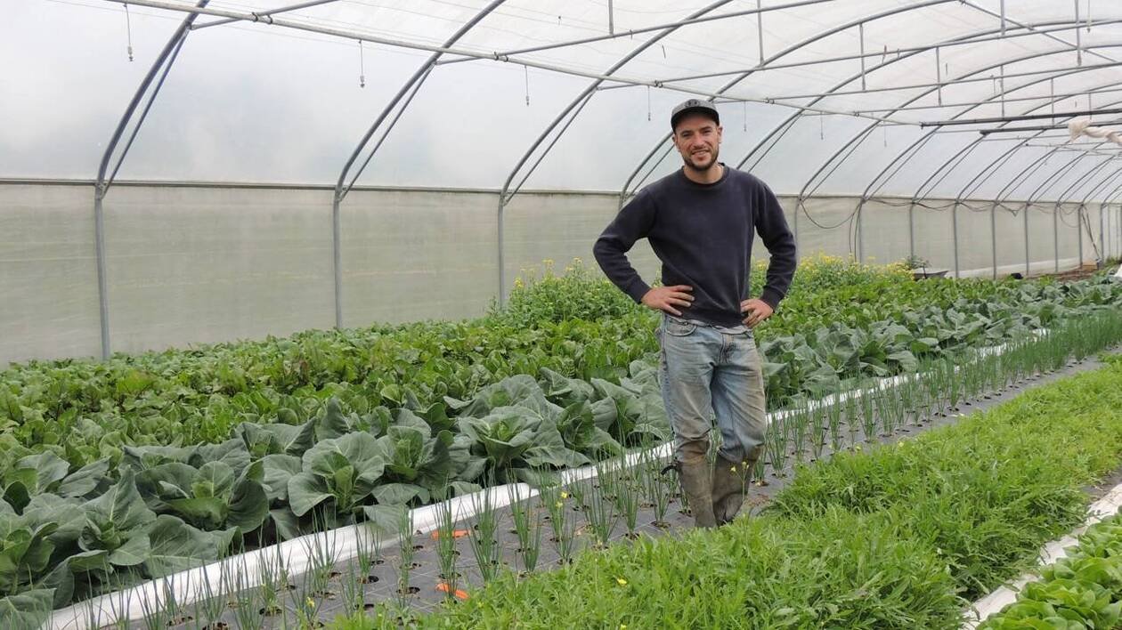 En Ille-et-Vilaine, ce maraîcher se lance dans la vente à la ferme