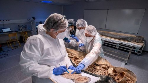 « Cela m’amuserait beaucoup » : et si les restes du poète Joachim du Bellay revenaient en Anjou ?
