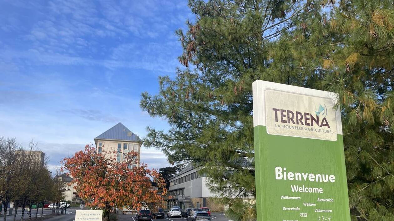 « La mondialisation facile, c’est terminé » : pourquoi les coopératives agricoles fusionnent