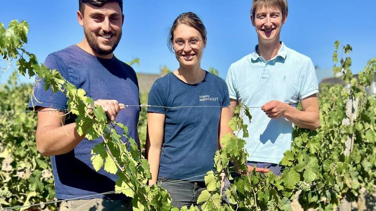 « Une fraîcheur en fin de bouche » : ce vin discret et reconnu fait le succès de ce vignoble d’Anjou