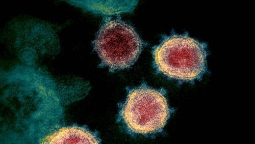 La vaccination peut-elle empêcher l’apparition de nouveaux variants ?
