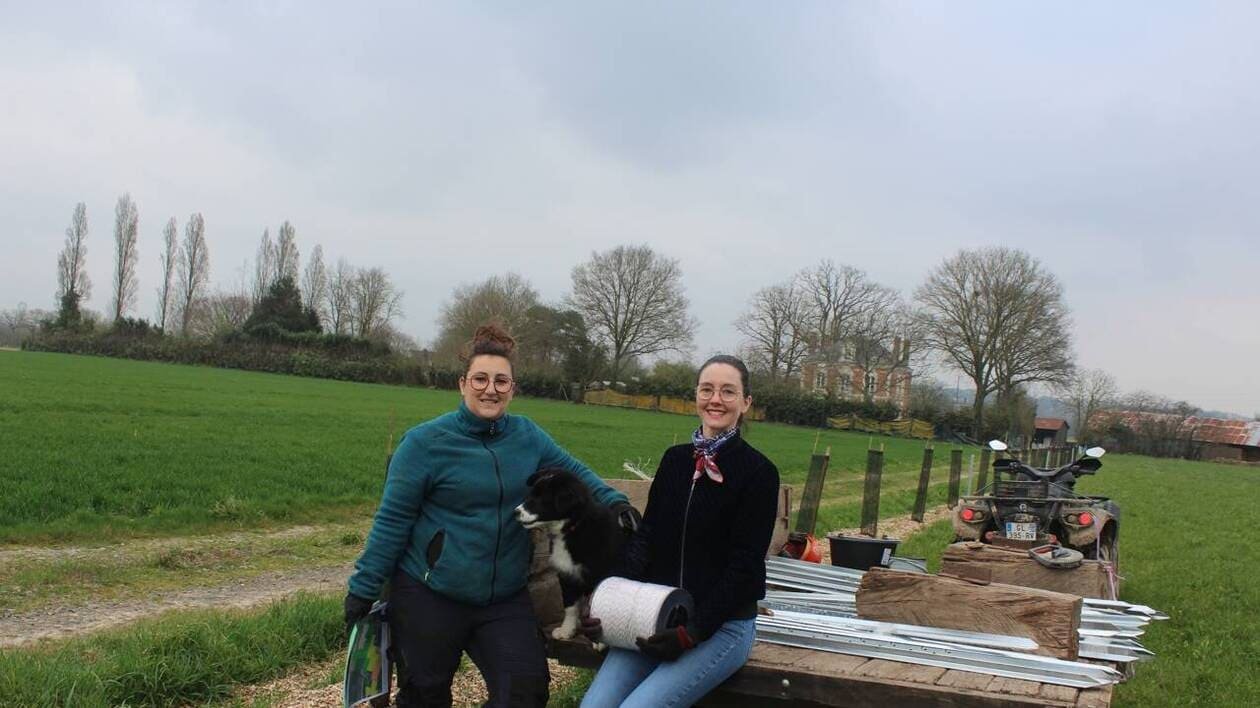 Près de Rennes, deux jeunes agricultrices se lancent dans l’élevage