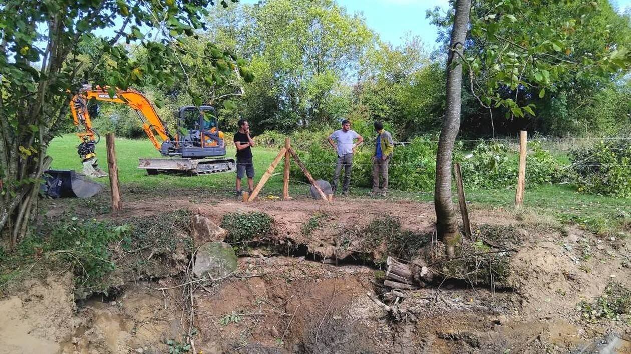 Dix mares vont être restaurées chez des agriculteurs dans l’Orne pour préserver la biodiversité