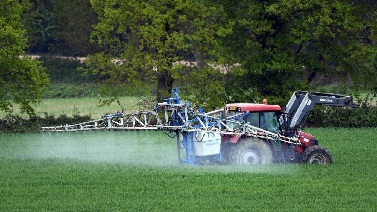 À Quimper, une journée d’échanges avec les agriculteurs pour réduire les pesticides