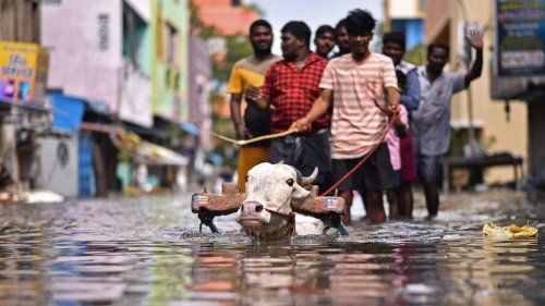 EN IMAGES. Des inondations impressionnantes frappent l’est de l’Inde, après le passage d’un cyclone