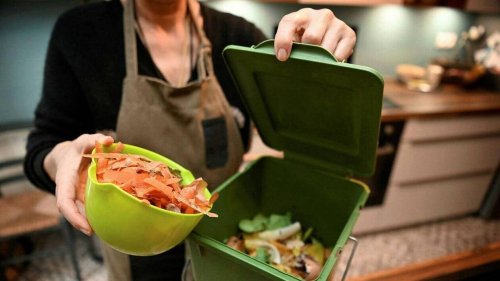 Quimper Bretagne occidentale organise des ateliers pour faire son compost