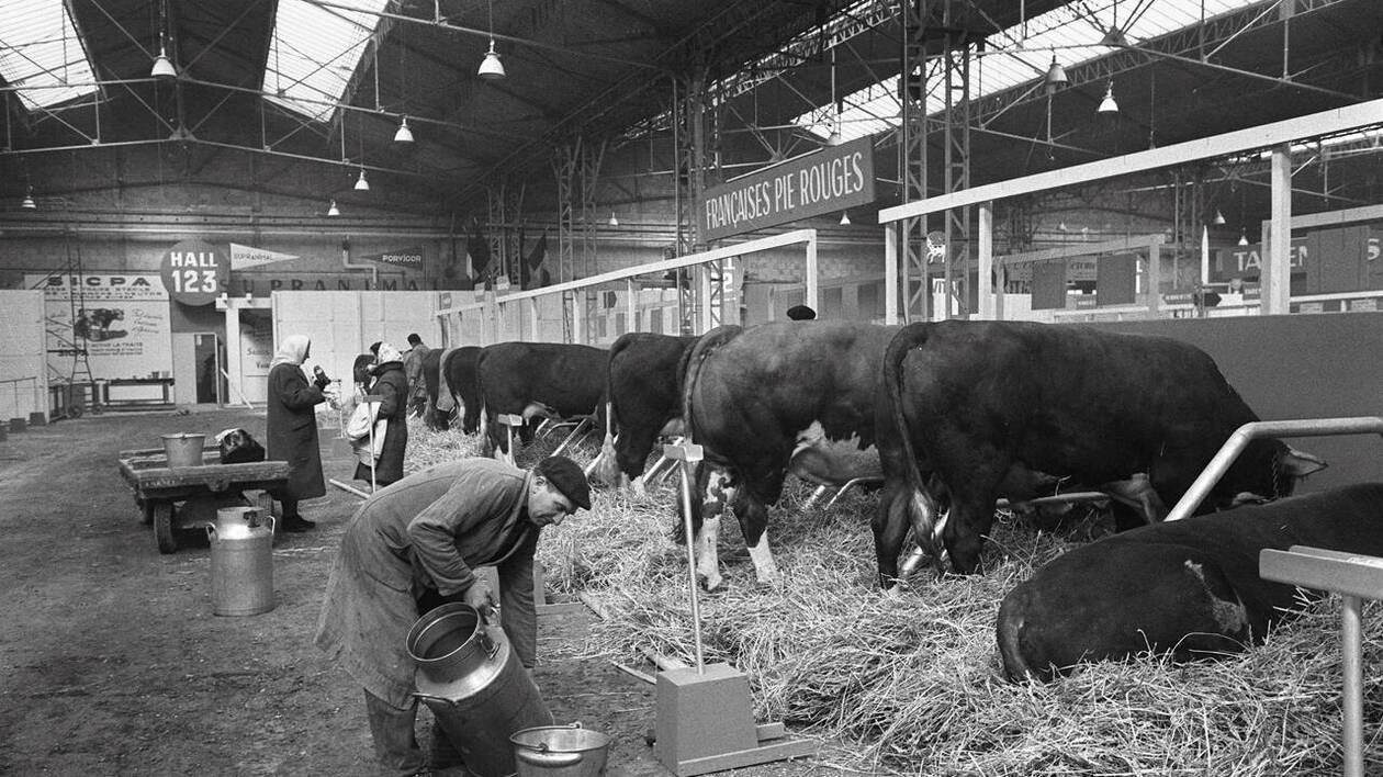 Calendrier de l’Histoire. 9 mars 1964 : le Salon de l’agriculture voit le jour