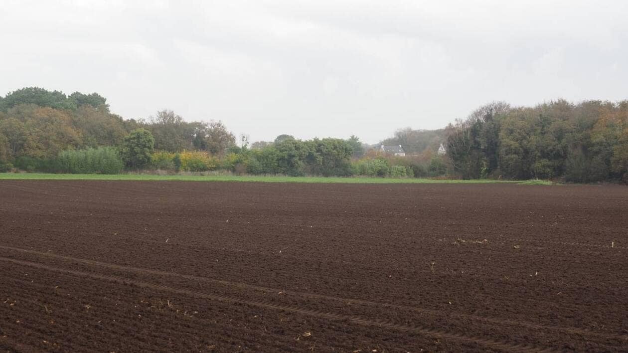 La communauté Blavet Bellevue Océan poursuit son action en faveur du secteur agricole