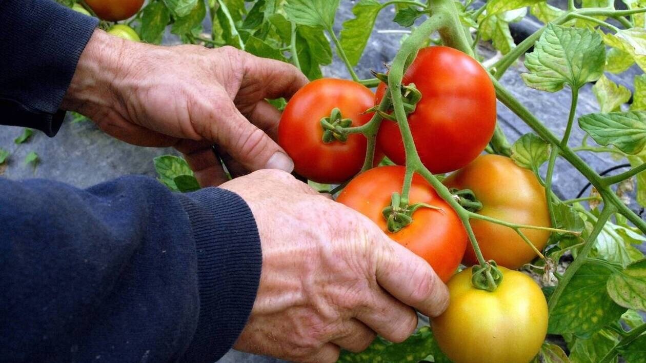Agriculture bio : « Beaucoup d’idées reçues chez les élèves de l’enseignement agricole »