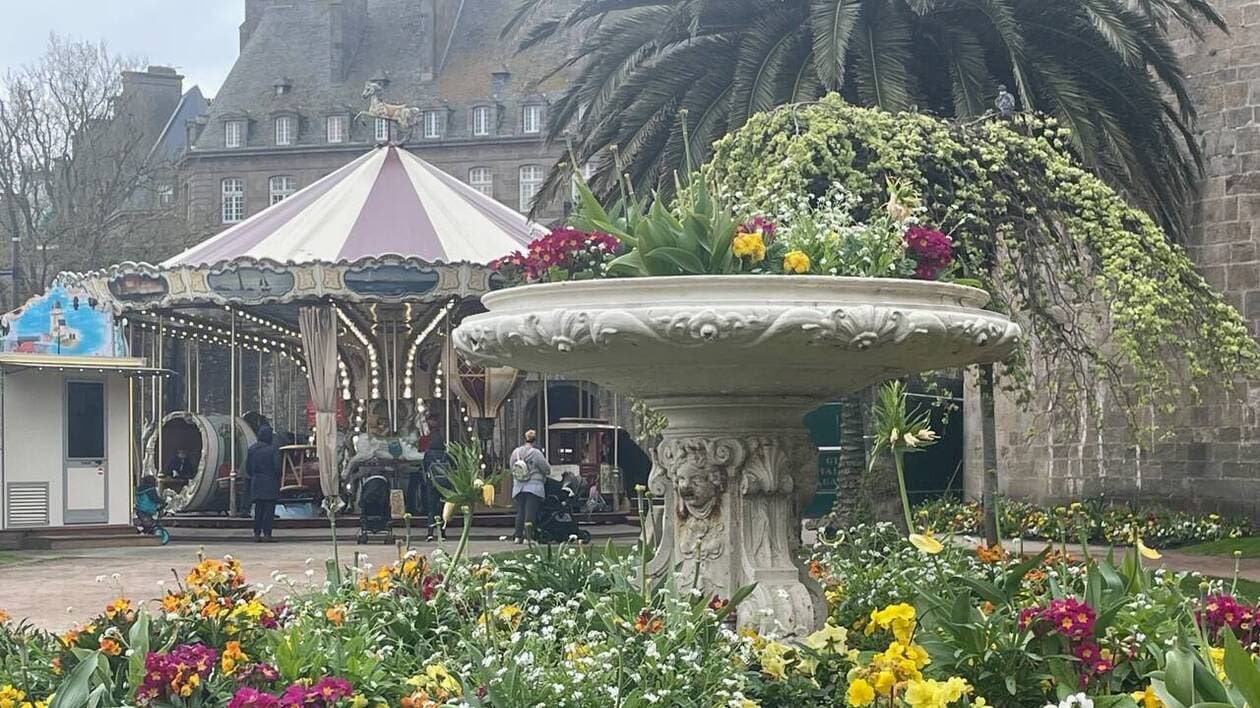 D’où viennent les plantes qui fleurissent les parterres de la ville de Saint-Malo ?