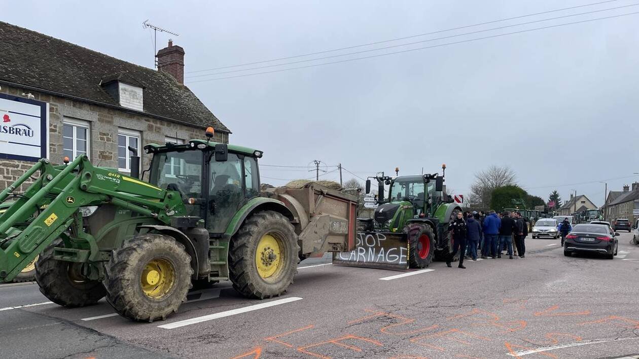 «Suspendre les abattages totaux» : dans l’Orne, les agriculteurs manifestent contre la gestion de crise de la