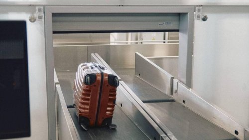 Leur chienne meurt écrasée sur le tapis roulant à l’aéroport : « Ça bousille une famille ça ! »