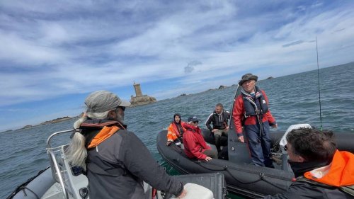 La police de l’environnement veille sur « la faune exceptionnelle » de cette réserve bretonne