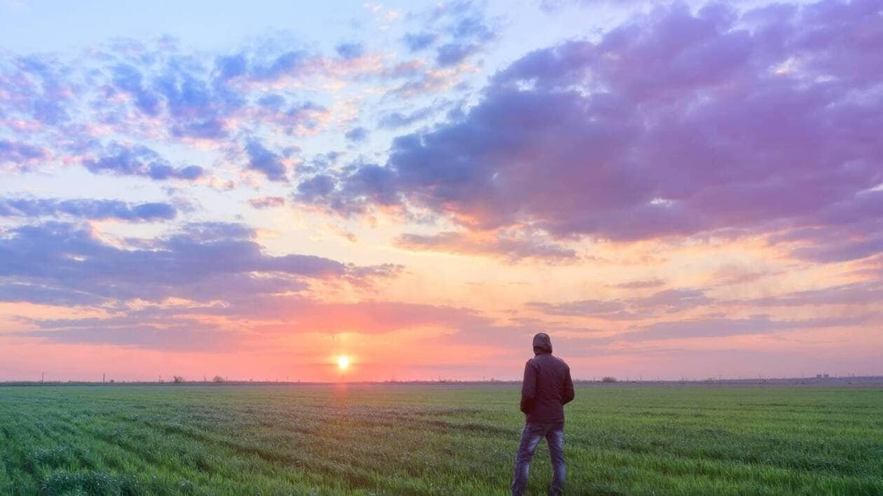 TÉMOIGNAGE. « Un stress quotidien » : en difficulté financière, ce jeune agriculteur reprend espoir grâce à un