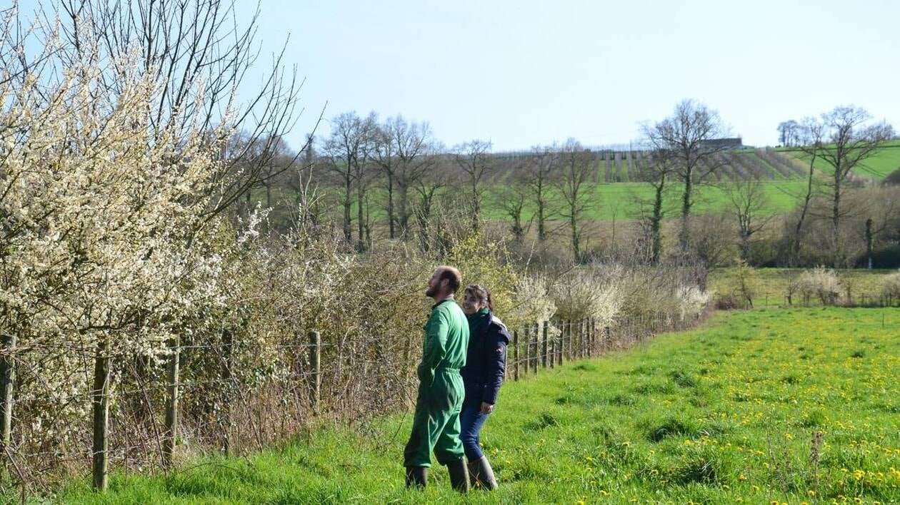 La transition écologique doit permettre de prendre soin de l’environnement