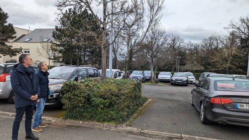 À Angers, l’agence de la transition écologique arrache des arbres pour construire une ombrière