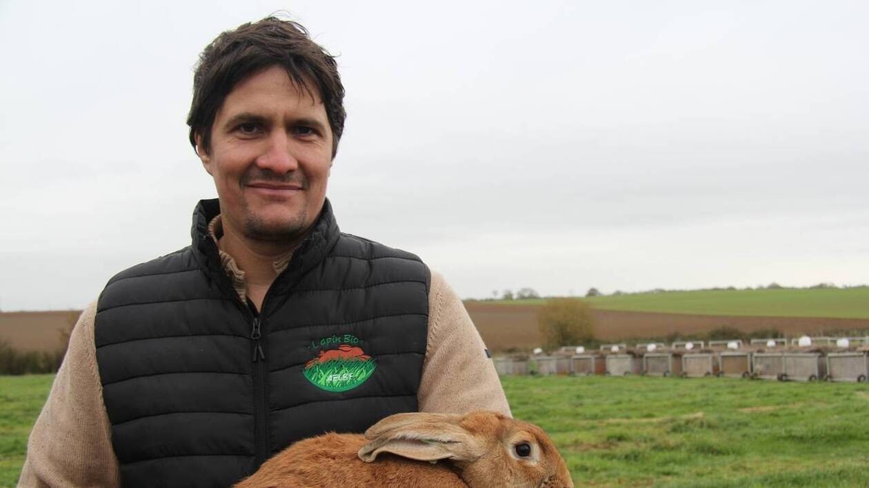 TÉMOIGNAGE. Pour cet éleveur de lapin bio, c’était du plein air, sinon rien