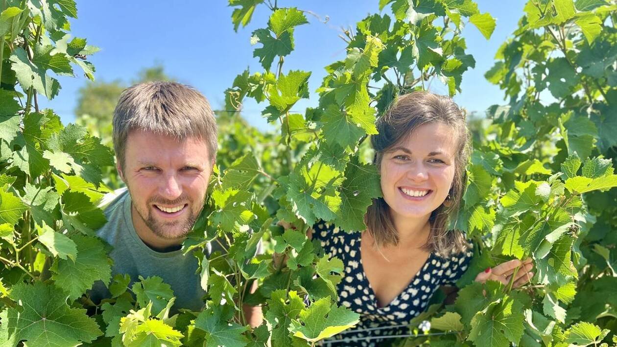 En Maine-et-Loire, leur vin est reconnu pour sa fraîcheur : « C’est la bulle plaisir, décomplexée »