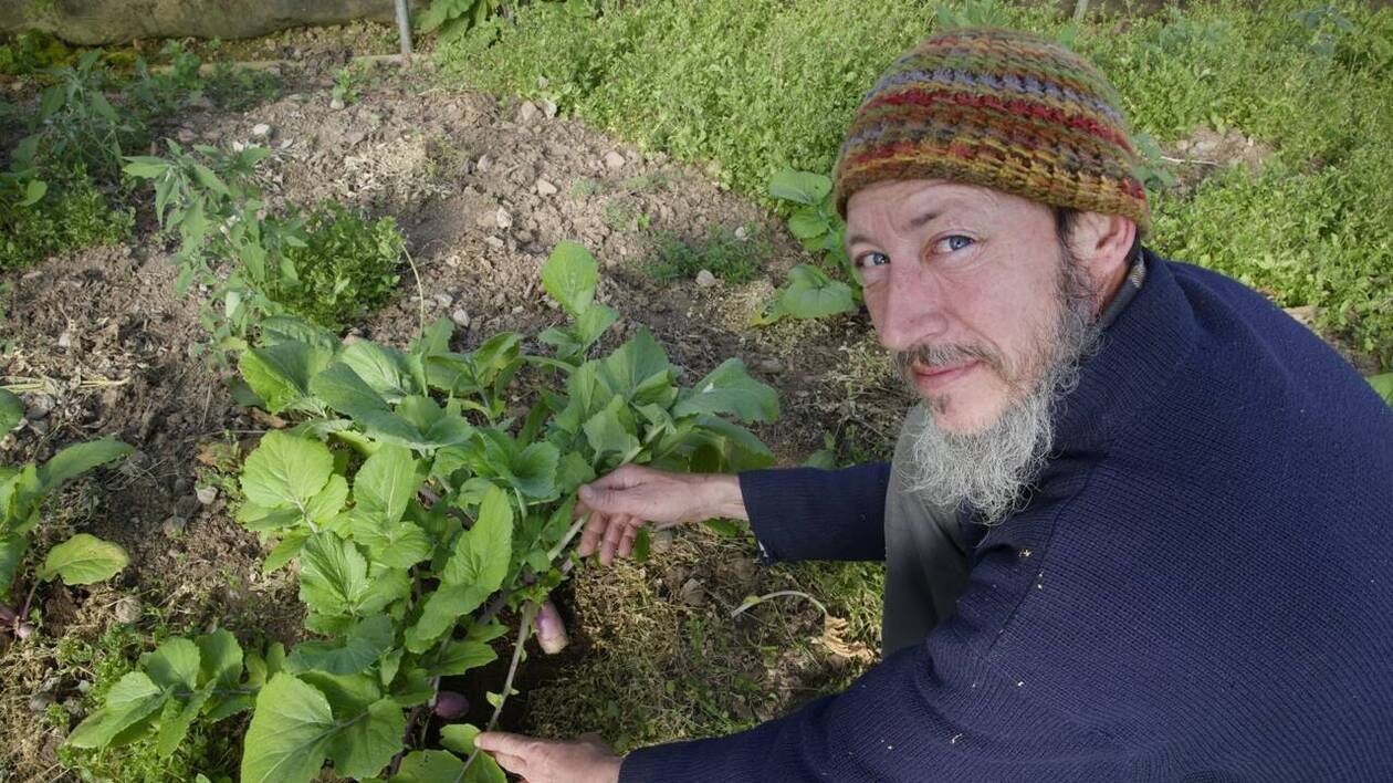 PORTRAIT. Semencier, un métier militant : il reproduit des graines pour plus d’autonomie alimentaire