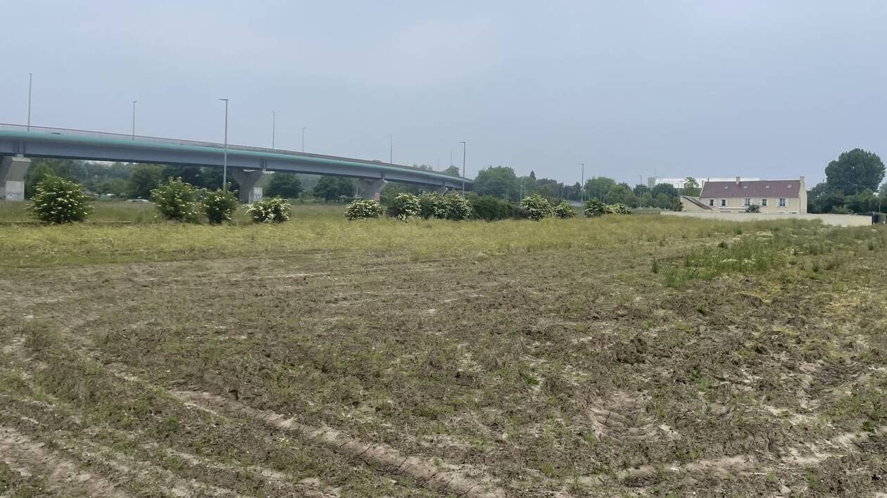 Le projet d’implanter des fermes maraîchères urbaines ou périurbaines à Caen creuse son sillon
