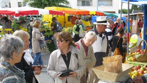 Que faire ce week-end dans le pays de Vannes ?