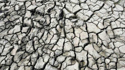 Le plan sécheresse des préfectures bretonnes attaqué en justice