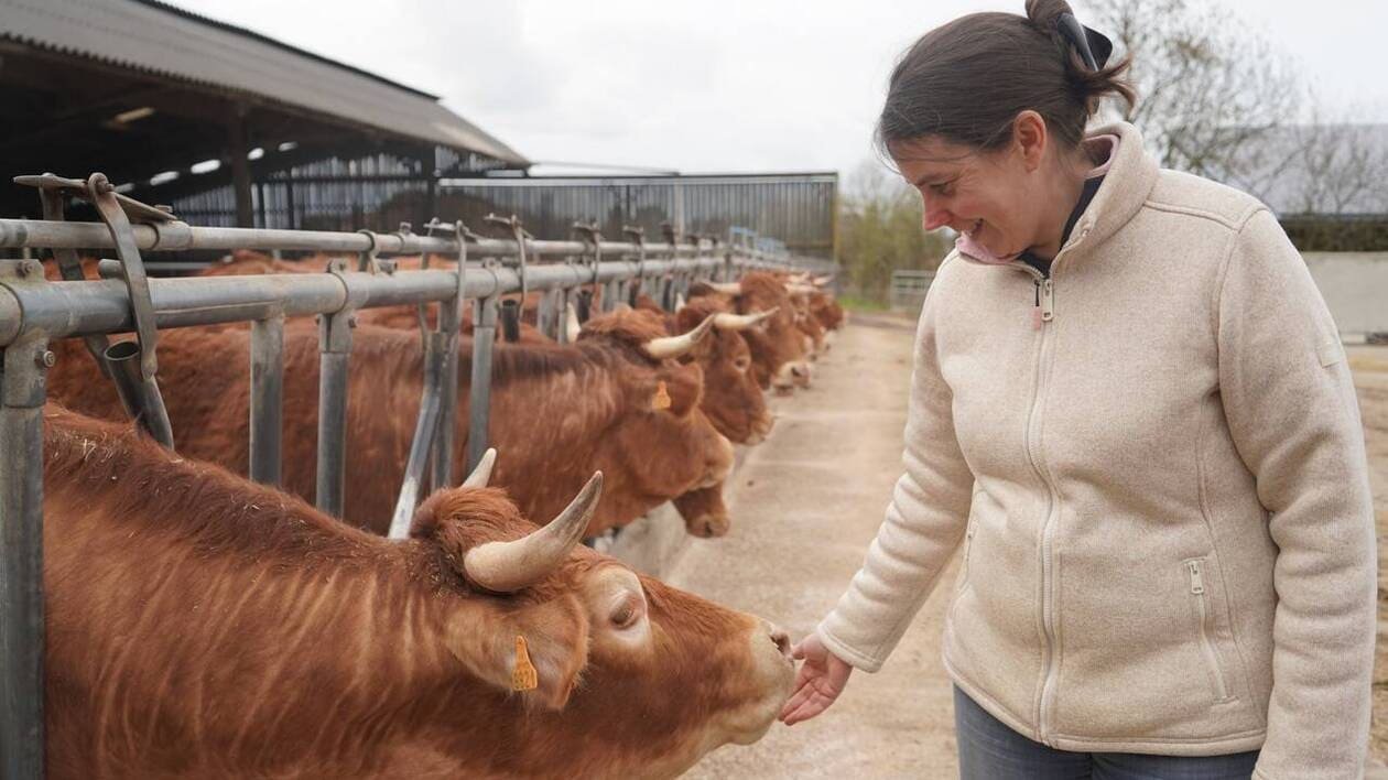 « Ma fille est la seule enfant de paysan de l’école » : dans sa ferme en Anjou, le combat d’Hélène