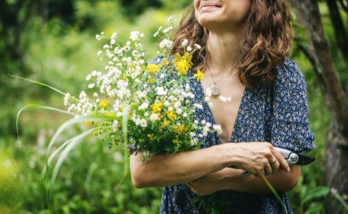 Fruits, herbes, fleurs : la cueillette en pleine nature n’est pas libre… ces règles que vous devez connaître absolument