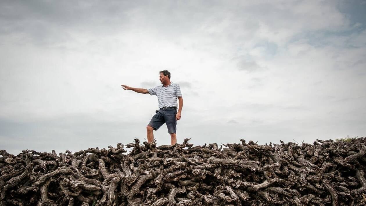 Gels, record de pluie… Ce producteur de muscadet jette l’éponge après trente ans dans les vignes