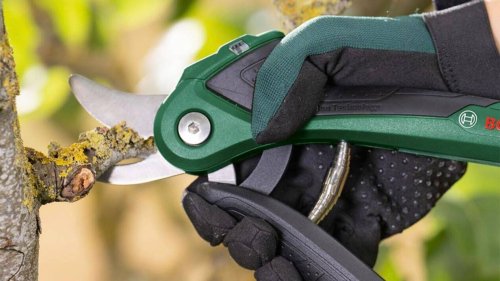 Efficace et léger, ce sécateur électrique sans fil Bosch à -13 euros ne déçoit pas dans les jardins