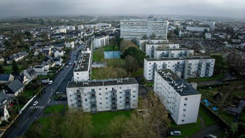 En Bretagne, une famille découvre une tête de porc décapitée devant sa porte, une enquête ouverte