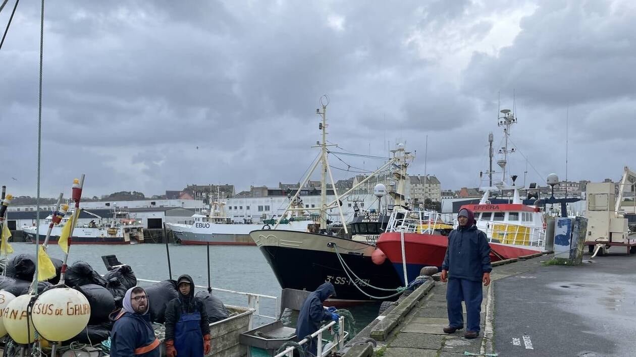 Tempête Darragh. Le port de Douarnenez fait le plein de navires ce samedi