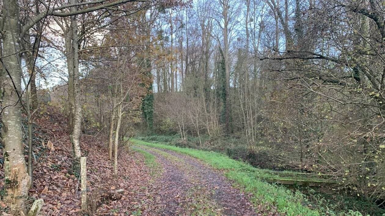 « Mettre en valeur l’agriculture »: à Saint-Quentin-sur-le-Homme, 13 panneaux vont garnir le sentier