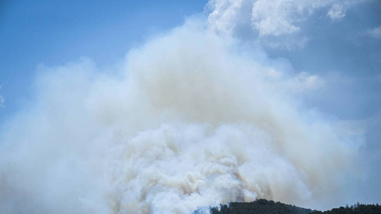 Incendie près de Narbonne : une exploitation ravagée, l’agriculteur évoque « un tsunami de feu »