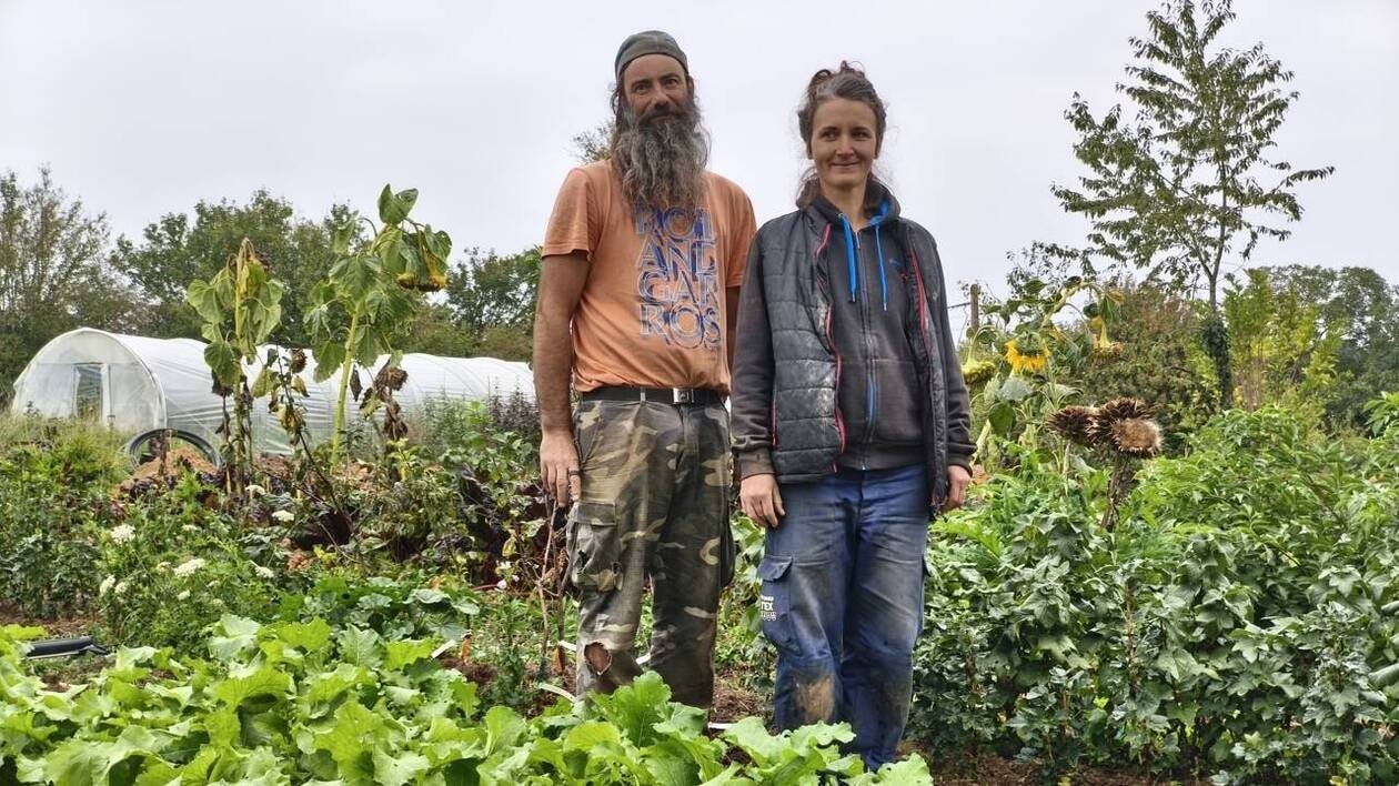 « Un rêve de longue date » : ils lancent un appel aux dons pour lancer leur micro-ferme