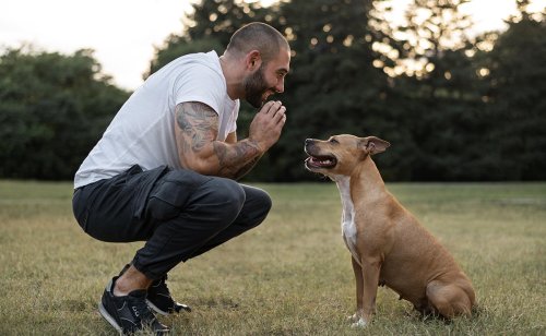 Hiérarchie homme/chien : idée reçue ou vérité ?