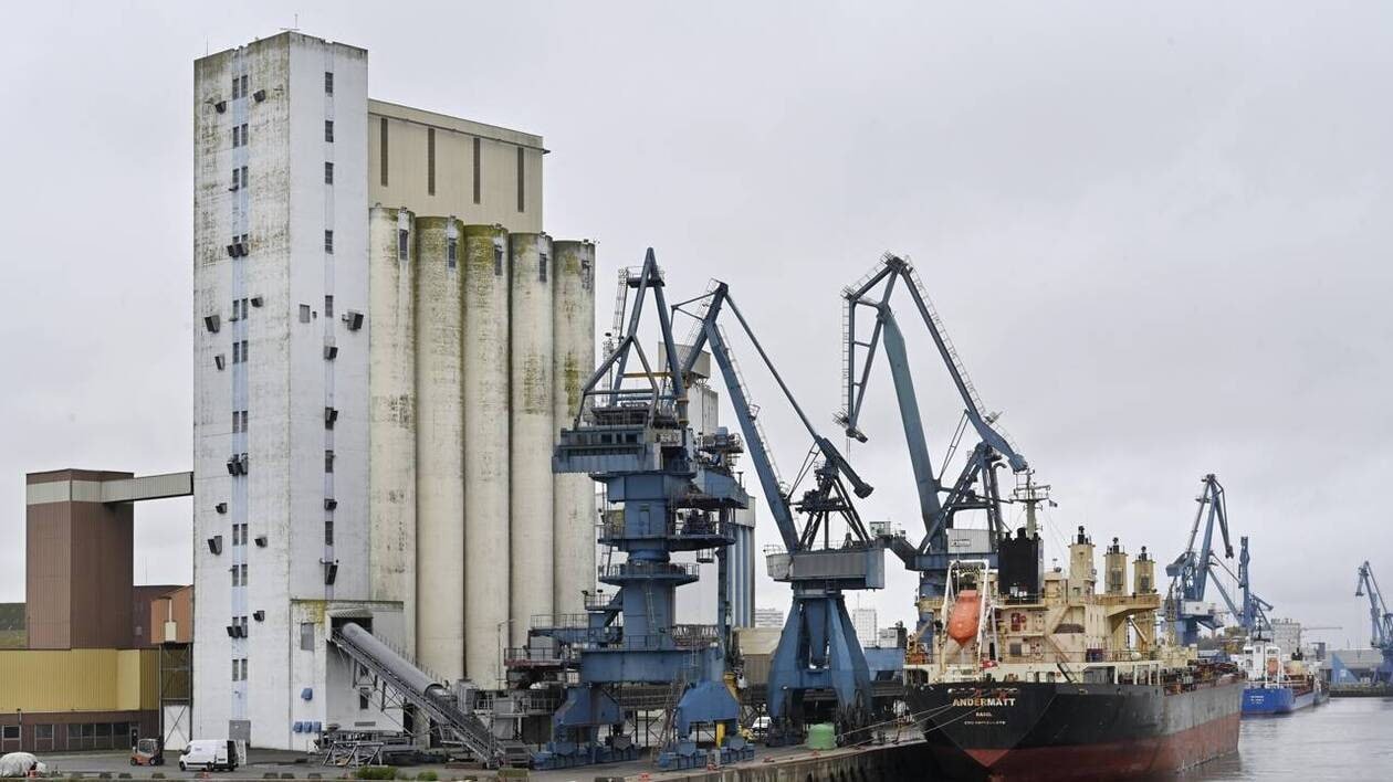 ENTRETIEN. Tensions commerciales : « On est entré dans le temps des hippopotames »