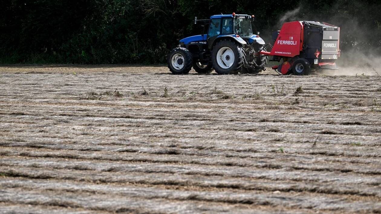 Les microplastiques sont omniprésents dans les sols agricoles de France, alerte l’Ademe