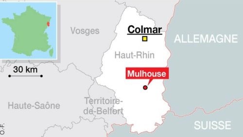 Mulhouse. Un chien risque l’euthanasie après avoir mordu un enfant, une pétition a été lancée