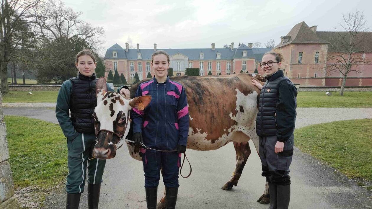 Des étudiants du Robillard en lice pour un trophée au Salon de l’agriculture