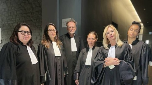 « Un naufrage collectif » : l’affaire Joël Le Scouarnec résumée en sept heures par 29 avocats