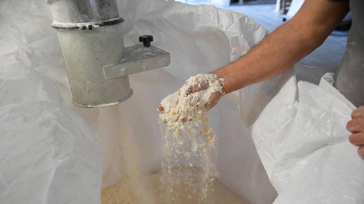 Un sachet de farine sur quatre, dans le commerce, est importé d’Allemagne