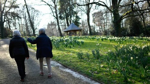 Rond-point, trottoir, parc, jardin… Que risque-t-on en cueillant une fleur dans l’espace public ?