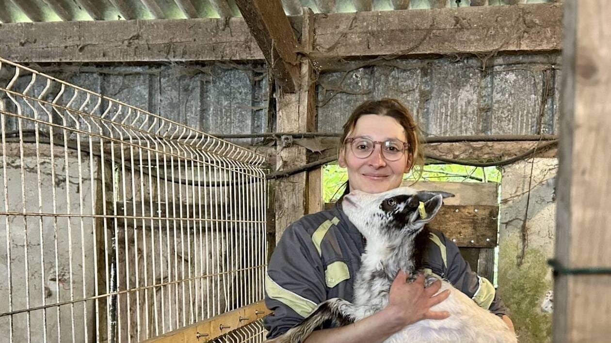 Un bouc nommé Amour sélectionné pour la sauvegarde des chèvres des fossés dans le Morbihan